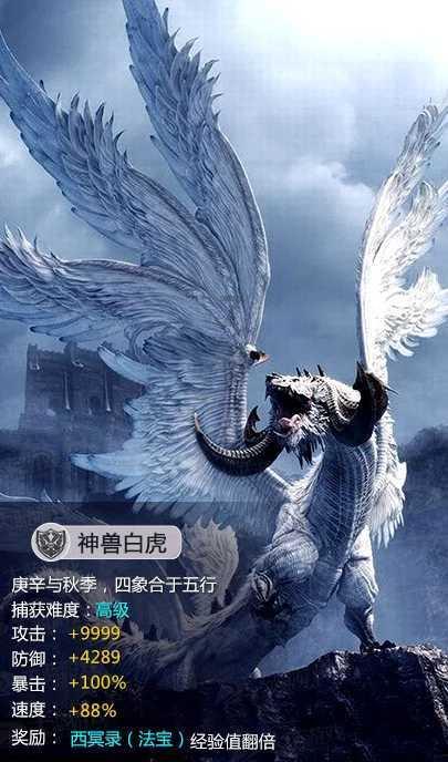 第一次探险
