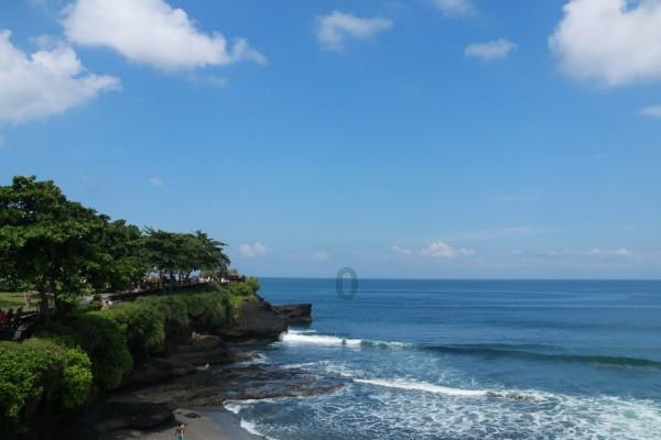 河南高考生注意!体育单招夏季项目注册即将启动